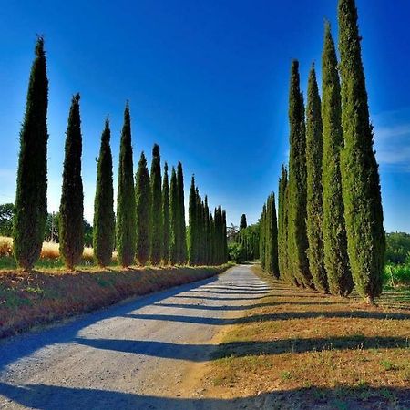 Agriturismo Boschetto Di Montiano Montiano  Exteriér fotografie