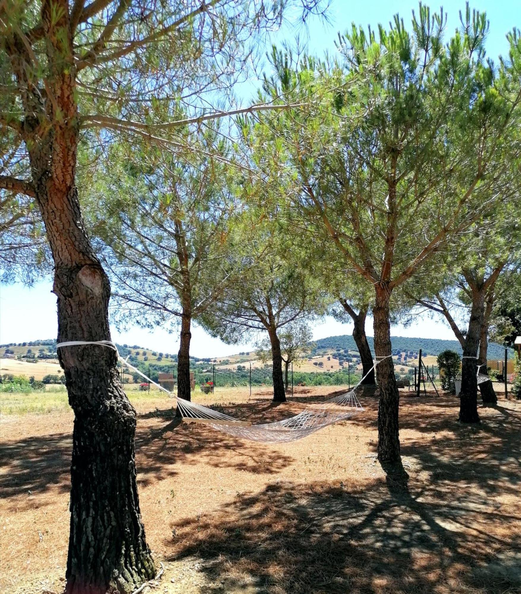 Agriturismo Boschetto Di Montiano Montiano  Pokoj fotografie