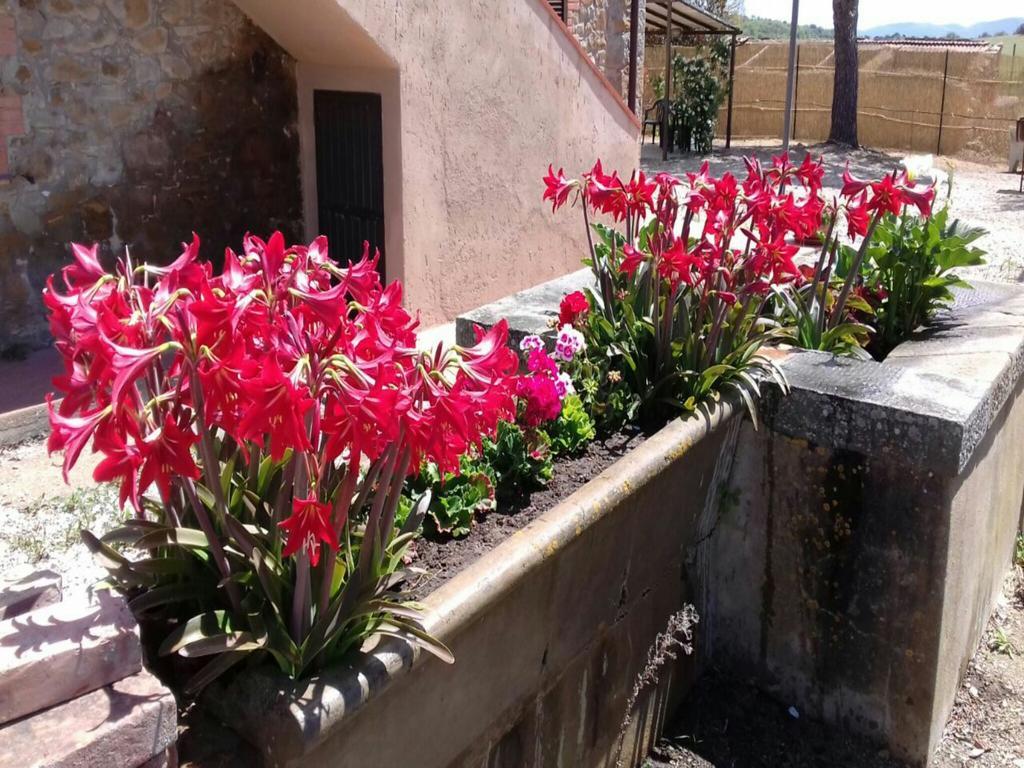 Agriturismo Boschetto Di Montiano Montiano  Exteriér fotografie