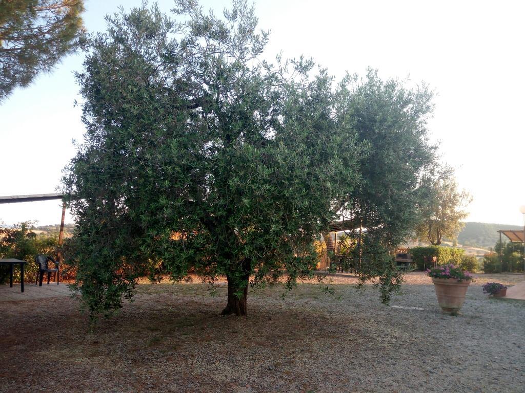Agriturismo Boschetto Di Montiano Montiano  Exteriér fotografie