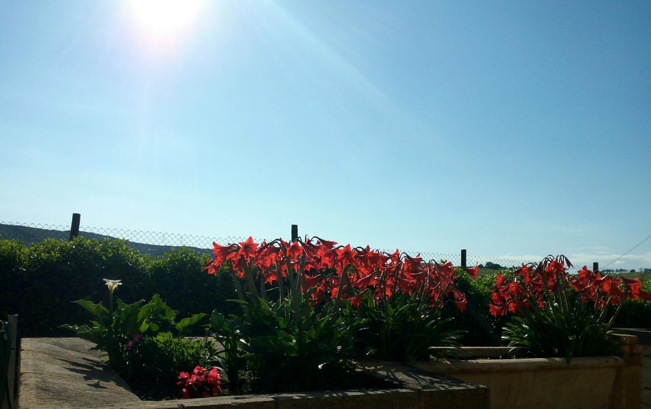 Agriturismo Boschetto Di Montiano Montiano  Exteriér fotografie