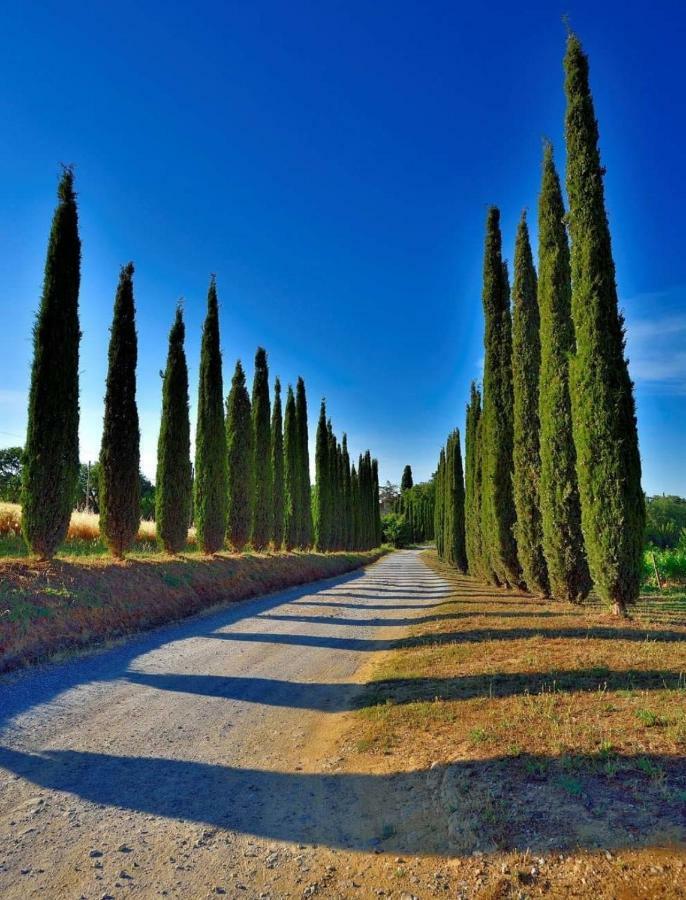 Agriturismo Boschetto Di Montiano Montiano  Exteriér fotografie